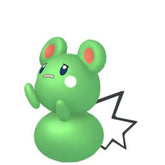Shiny Azurill - thepokestar